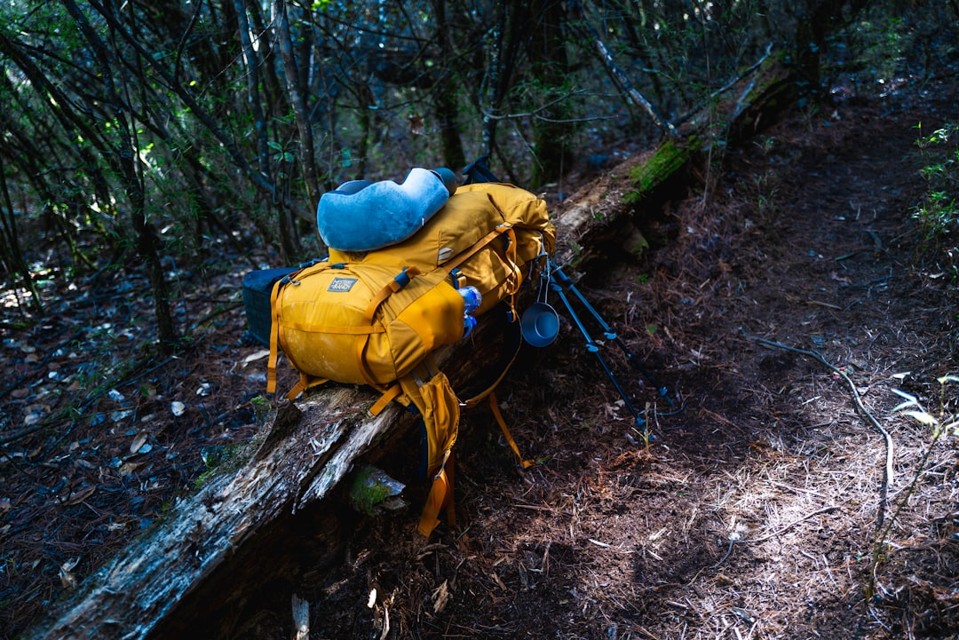 Why Investing in Good Travel Gear Makes All the Difference